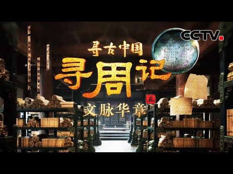 考古队挖出演奏《诗经》的乐器和乐谱!破译周朝先民刻在甲骨上的“天下奇字” 《寻周记·文脉华章》| CCTV「寻古中国」20250724