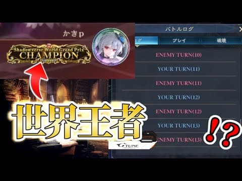 【vs世界王者】ウィッチミラー25ターンの超ロングゲーム【シャドバWB】