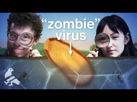 Did we just unfreeze a pandemic?